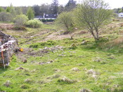 EHG4115_image_79.jpg