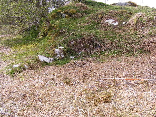 EHG4115_image_85.jpg