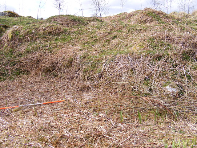 EHG4115_image_86.jpg