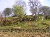 EHG4115_image_88.jpg