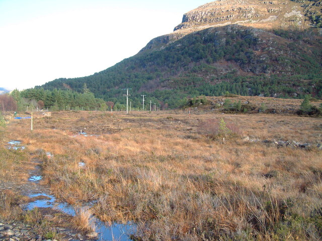 EHG3648_01.JPG