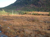 EHG3648_02.JPG