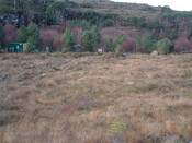 EHG3648_04.JPG