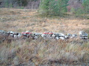 EHG3648_05.JPG