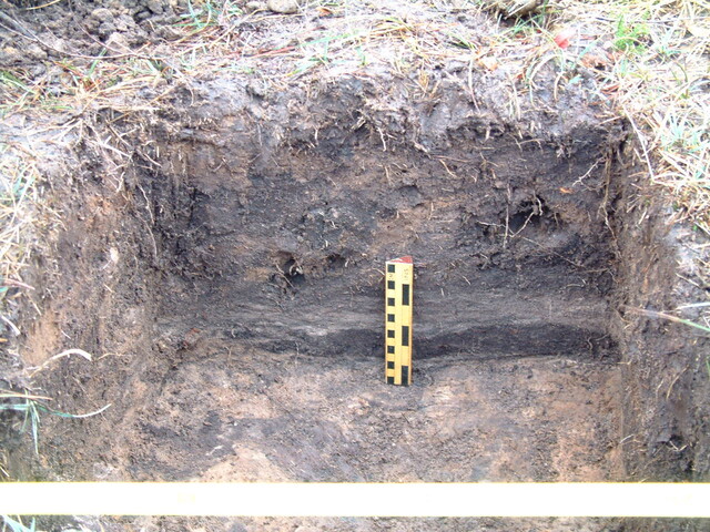 EHG3648_07.JPG