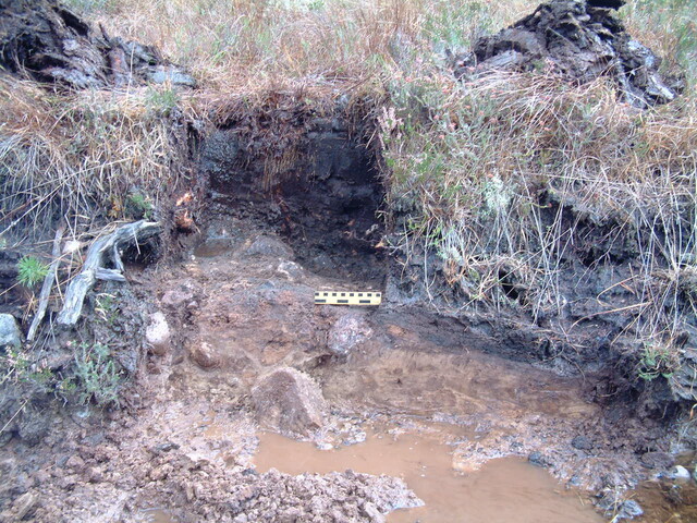 EHG3648_08.JPG