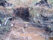 EHG3648_08.JPG