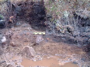EHG3648_09.JPG
