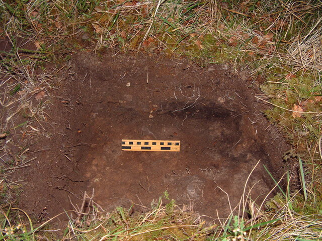 EHG3648_10.JPG