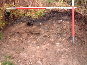 EHG3648_15.JPG