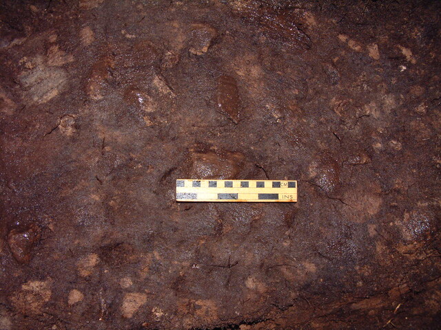EHG3648_16.JPG