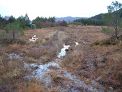 EHG3648_25.JPG