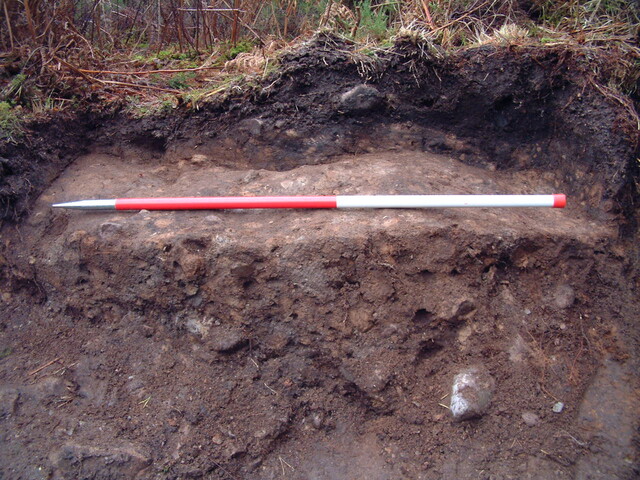 EHG3648_28.JPG