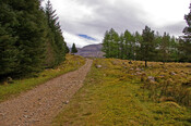 IMGP1555a.jpg
