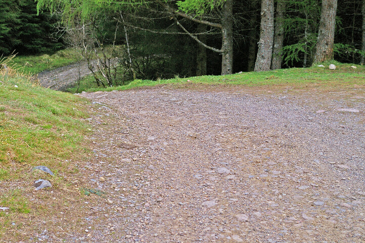IMGP1562a.jpg