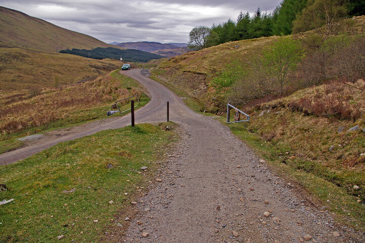 IMGP1567a.jpg