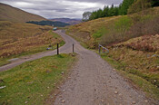 IMGP1567a.jpg