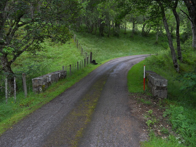 EHG4121_1.JPG