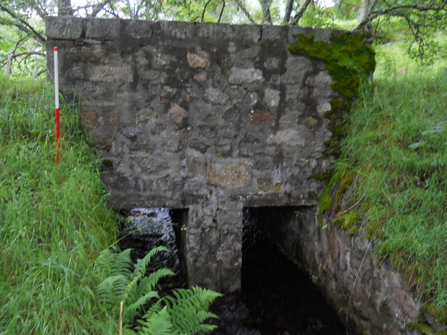 EHG4121_2.JPG