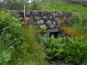 EHG4121_4.JPG
