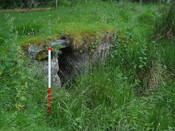 EHG4121_6.JPG