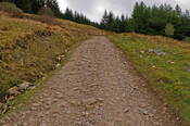 IMGP1568a.jpg