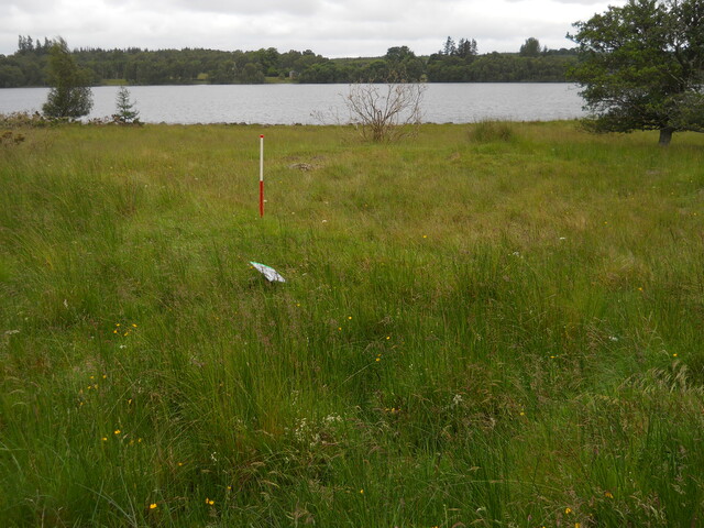 EHG4121_8.JPG