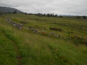 EHG4121_14.JPG