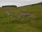 EHG4121_15.JPG