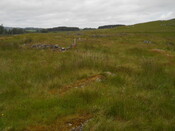 EHG4121_16.JPG