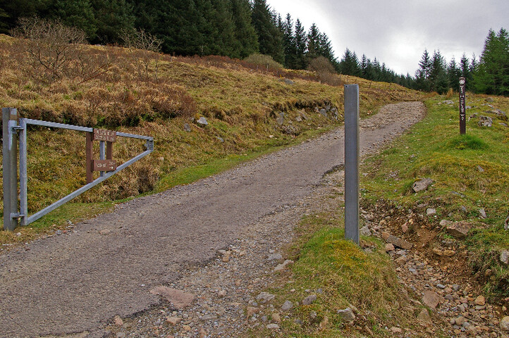 IMGP1569a.jpg