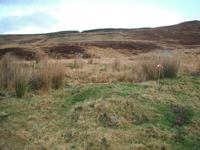 EHG4133_image_01.JPG