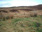 EHG4133_image_01.JPG