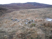 EHG4133_image_04.JPG