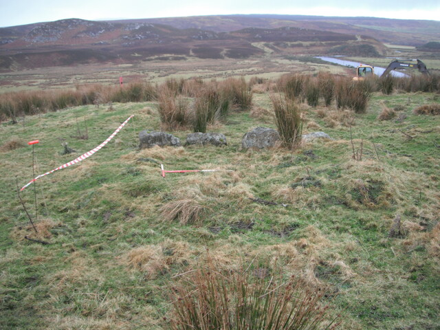 EHG4133_image_08.JPG