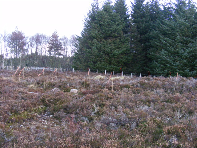EHG4134_picture_01.jpg