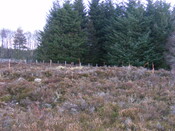 EHG4134_picture_02.jpg