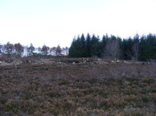 EHG4134_picture_03.jpg