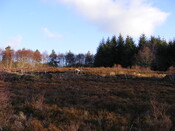 EHG4134_picture_05.jpg