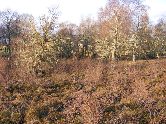 EHG4134_picture_07.jpg