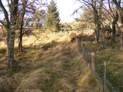 EHG4134_picture_10.jpg