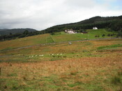 EHG4136_image_01.JPG