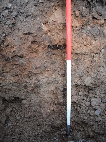 EHG4136_image_12.JPG