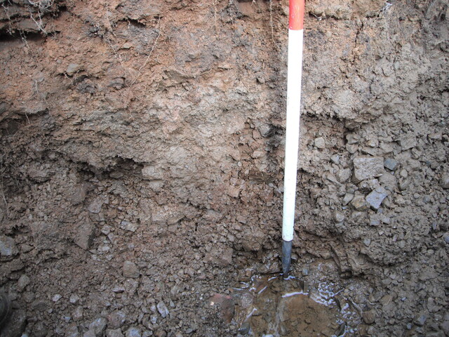 EHG4136_image_13.JPG