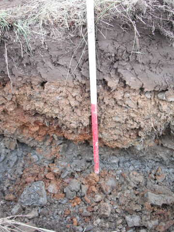 EHG4136_image_14.JPG