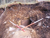 EHG4161_1.jpg