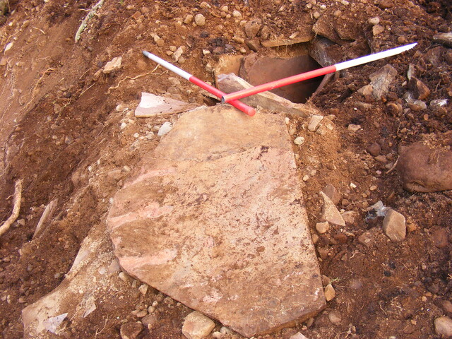 EHG4161_3.jpg