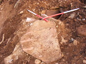 EHG4161_3.jpg