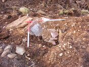 EHG4161_5.jpg