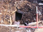 EHG4161_7.jpg